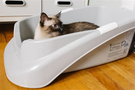 7 best cat litter boxes for 2023, approved by vets.